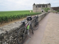 035 clos vougeot.JPG