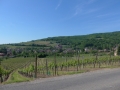 Route des vins 2016 221.jpg