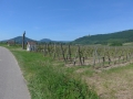 Route des vins 2016 227.jpg