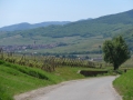 Route des vins 2016 245.jpg