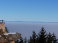 DSC00036.JPG